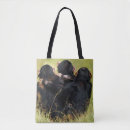 Search for chimpanzees bags Common chimpanzee