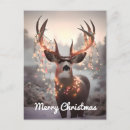 Search for mule deer postcards Antlers
