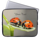 Search for unique ladybug Trendy