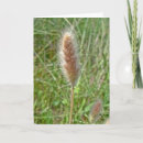 Search for wetlands cards Nature