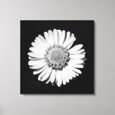 Search for black and white botanical art Flowers