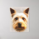 Search for yorkie canvas prints Terrier