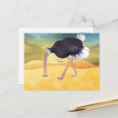 Search for desert bird postcards Animal