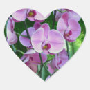 Search for purple orchid stickers Tropical