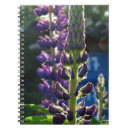 Search for study photography Flowers