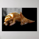 Search for zoo kids posters Fox