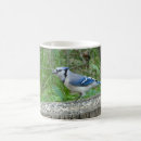 Search for bluejay mugs Nature
