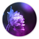 Search for daisy knobs and pulls Photography