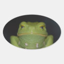 Search for frog oval stickers Amphibian