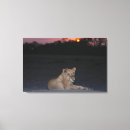 Search for wild one canvas prints Animals in the wild