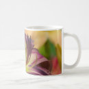 Search for daylily mugs Daylilies