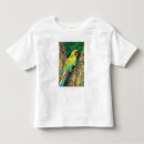 Search for rainbow macaw Bright