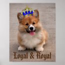 Search for loyal posters Dogs