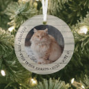 Search for pet memorials In loving memory