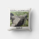 Search for sediment Rockhound