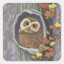 Search for colourful owl stickers Wildlife