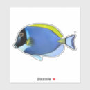 Search for saltwater aquarium stickers Reef