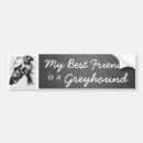 Search for greyhound bumper stickers Dog