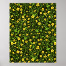 Search for buttercups posters Botanical