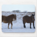Search for prefecture electronics Winter
