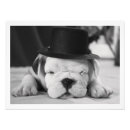 Search for english bulldog art Cute