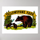 Search for vintage bear posters Wyoming