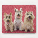 Search for looking at camera mouse mats Friendship