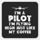Search for fly high stickers Pilot