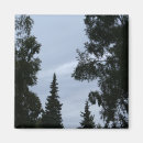 Search for alaskan sky Landscape