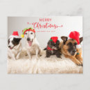 Search for new mommy postcards Dog mum