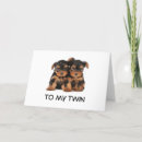 Search for mining photography Dog