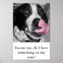 Search for dog nose art Tongue