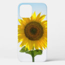 Search for sun flowers cases Flora
