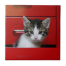 Search for peek tiles Animal