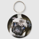 Search for cute pug key rings Blue