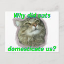 Search for why postcards Humour