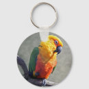 Search for conure round key rings Bird