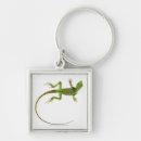 Search for pure key rings Animal