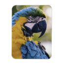 Search for profiling magnets Portrait