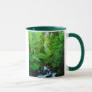 Search for old growth forest mugs Superstock