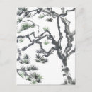 Search for pine postcards Evergreen
