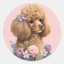 Search for cute pink poodle stickers Dog