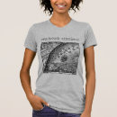 Search for flammarion Sun