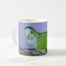 Search for quaker mugs Parrot