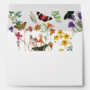 Search for butterfly envelopes Wildflowers