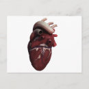Search for three dimensional postcards Cutout