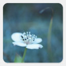 Search for memorial stickers Flower