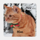 Search for crazy cat lady christmas tree decorations Animal