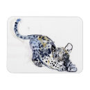 Search for stretching magnets Cute