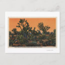 Search for mohave postcards Desert